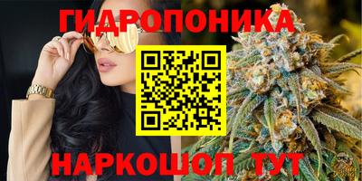 гашик Ирбит