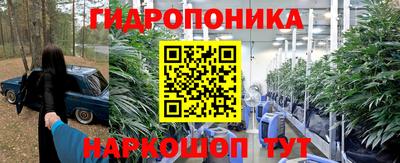 гашик Ирбит